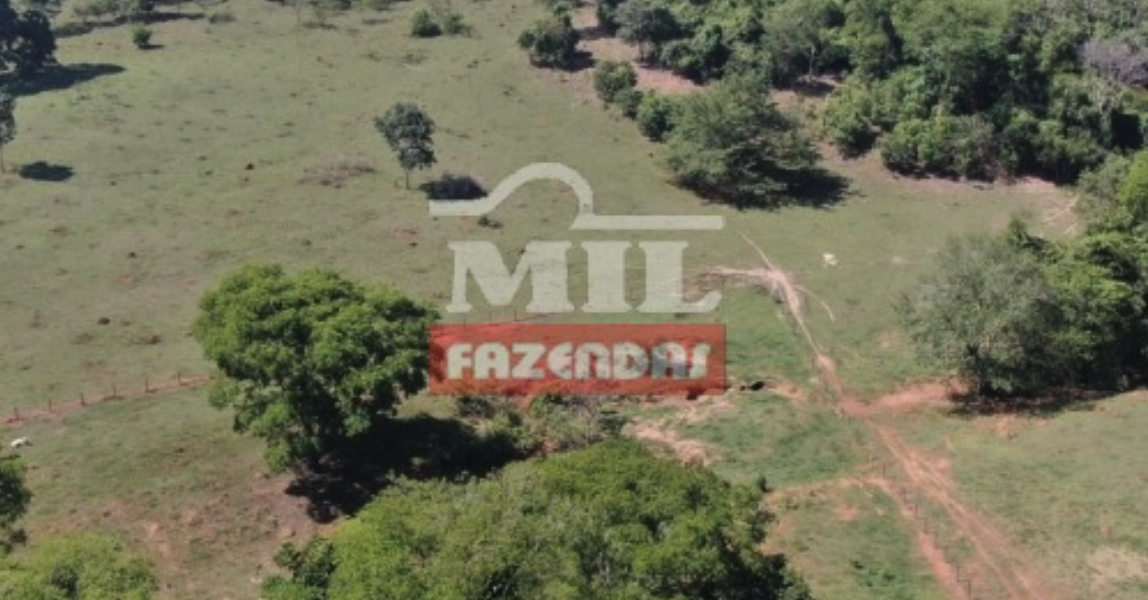 Fazenda em Itapaci - Goiás – Mil Fazendas