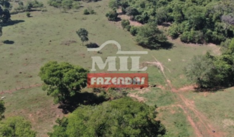 Fazenda em Itapaci - Goiás – Mil Fazendas