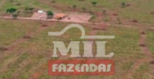 Fazenda em Jaborandi - Bahia – Mil Fazendas