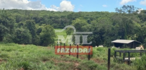 Fazenda em Jandaia - Goiás – Mil Fazendas