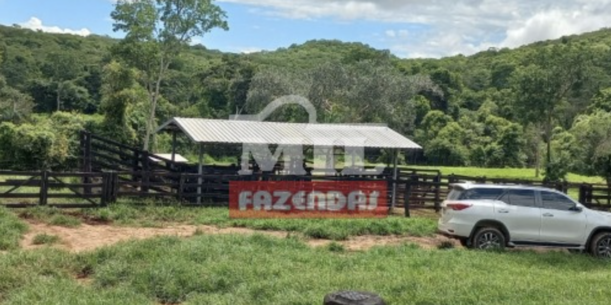 Fazenda em Jandaia - Goiás – Mil Fazendas