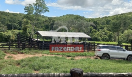 Fazenda em Jandaia - Goiás – Mil Fazendas