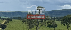 Fazenda em Jataí - Goiás - Mil Fazendas