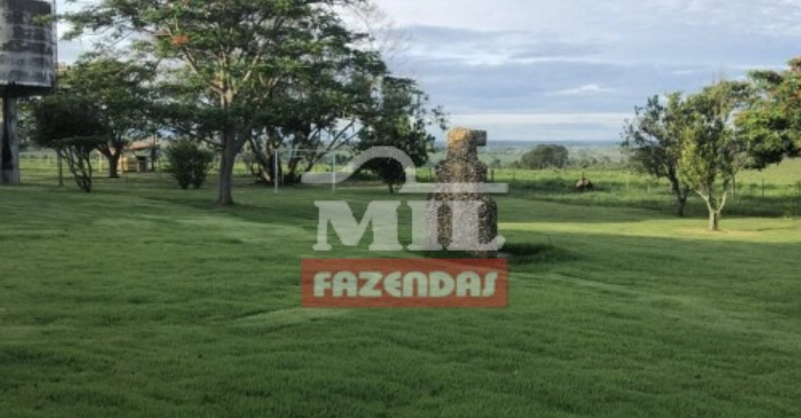 Fazenda em Jataí - Goiás - Mil Fazendas