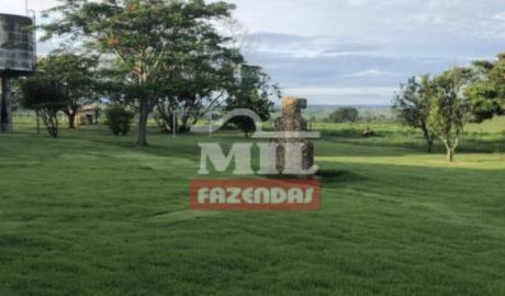 Fazenda em Jataí - Goiás - Mil Fazendas