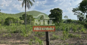 Fazenda em Jaú do Tocantins - Tocantins – Mil Fazendas