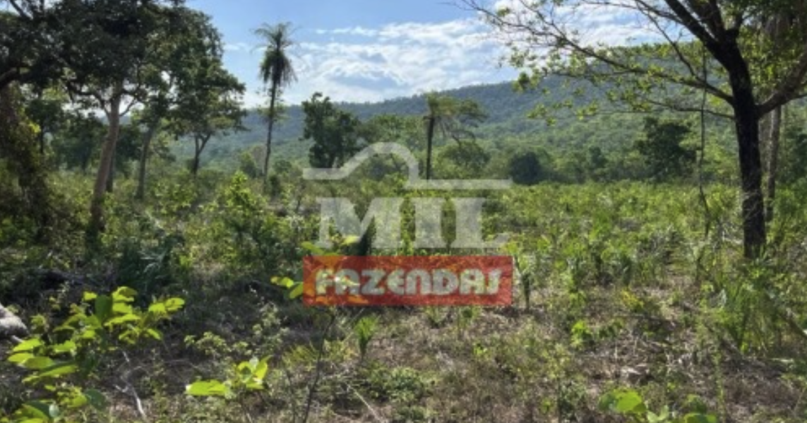 Fazenda em Jaú do Tocantins - Tocantins – Mil Fazendas