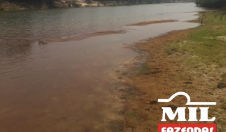 Fazenda em Lagoa da Confusão - Tocantins – Mil Fazendas