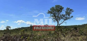 Fazenda em Lagoa do Tocantins - Tocantins – Mil Fazendas