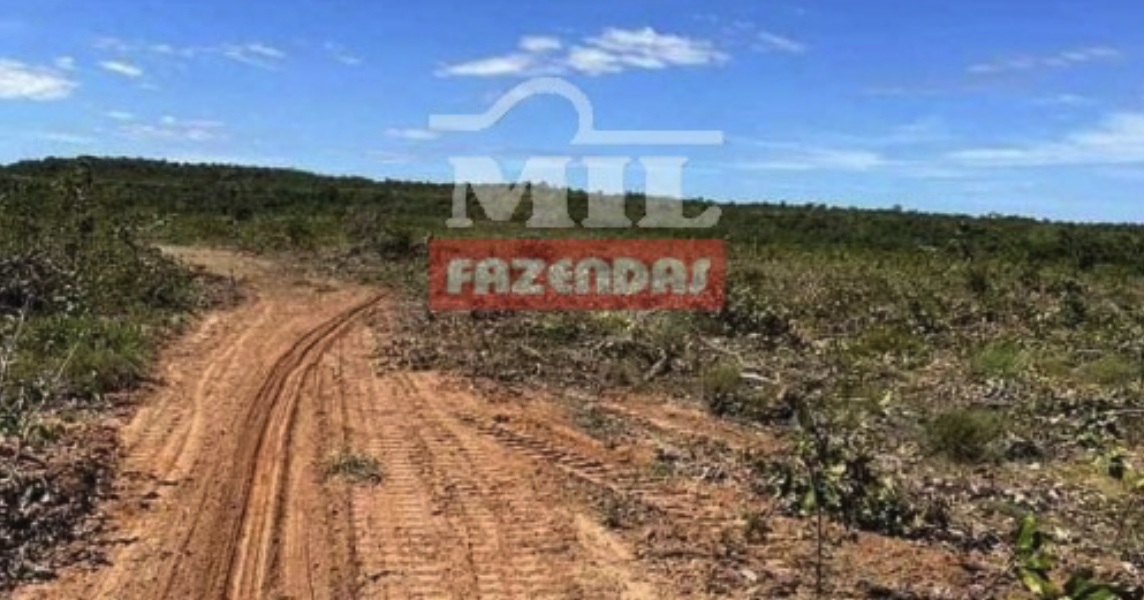 Fazenda em Lagoa do Tocantins - Tocantins – Mil Fazendas