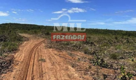 Fazenda em Lagoa do Tocantins - Tocantins – Mil Fazendas