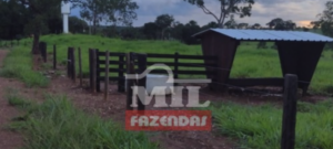 Fazenda em Monte Santo do Tocantins - Tocantins – Mil Fazendas