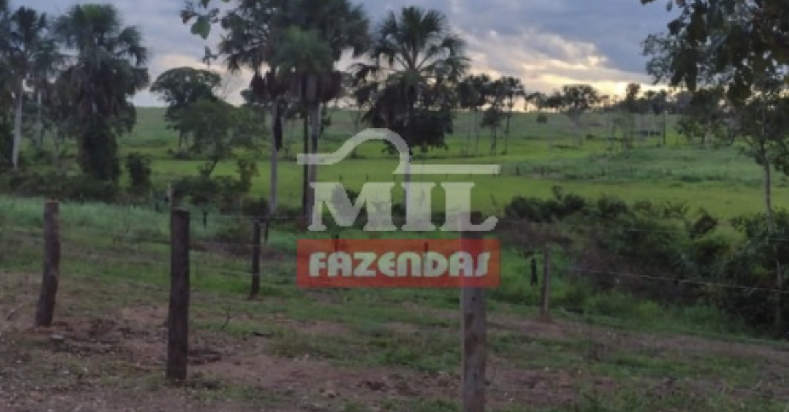 Fazenda em Monte Santo do Tocantins - Tocantins – Mil Fazendas