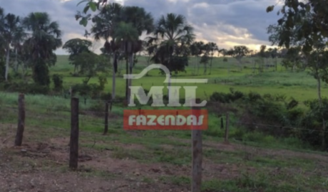 Fazenda em Monte Santo do Tocantins - Tocantins – Mil Fazendas