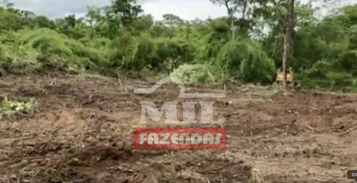 Fazenda em Niquelândia - Goiás – Mil Fazendas