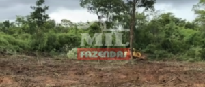 Fazenda em Niquelândia - Goiás – Mil Fazendas