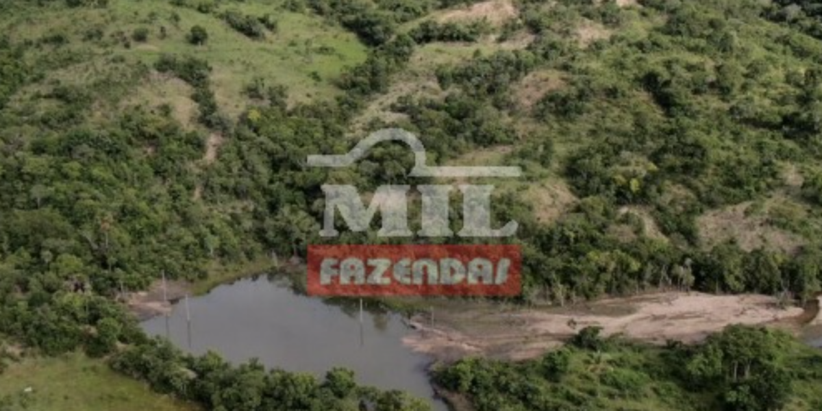 Fazenda em Nova Iguaçu de Goiás - Goiás – Mil Fazendas