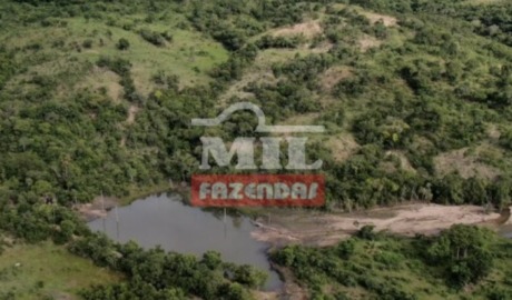 Fazenda em Nova Iguaçu de Goiás - Goiás – Mil Fazendas