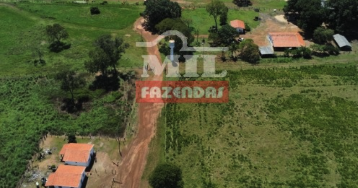 Fazenda em Pium - Tocantins – Mil Fazendas