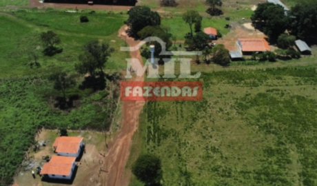 Fazenda em Pium - Tocantins – Mil Fazendas