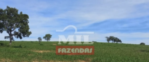 Fazenda em Pontal do Araguaia - Mato Grosso – Mil Fazendas