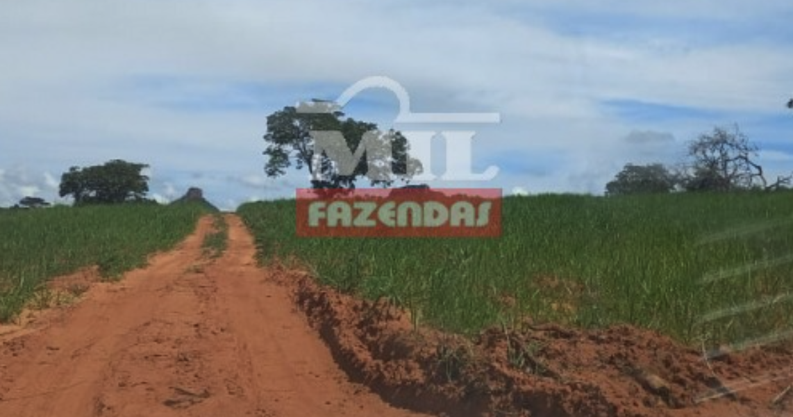 Fazenda em Pontal do Araguaia - Mato Grosso – Mil Fazendas