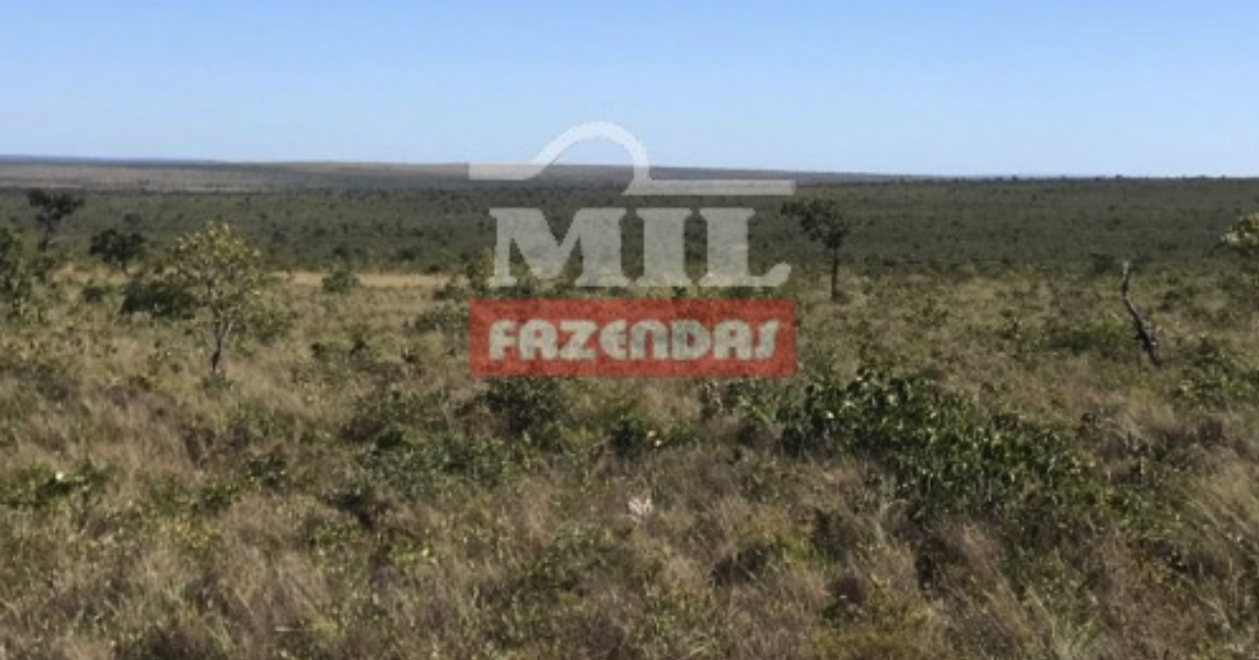 Fazenda em Ponte Alta do Tocantins - Tocantins – Mil Fazendas