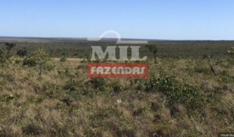 Fazenda em Ponte Alta do Tocantins - Tocantins – Mil Fazendas