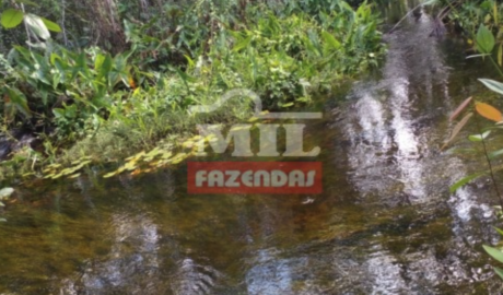 Fazenda em Ponte Alta do Tocantins - Tocantins – Mil Fazendas