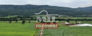 Fazenda em Porangatu - Goiás – Mil Fazendas