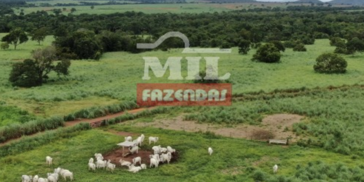 Fazenda em Porangatu - Goiás – Mil Fazendas