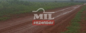 Fazenda em Primavera do Leste - Mato Grosso – Mil Fazendas