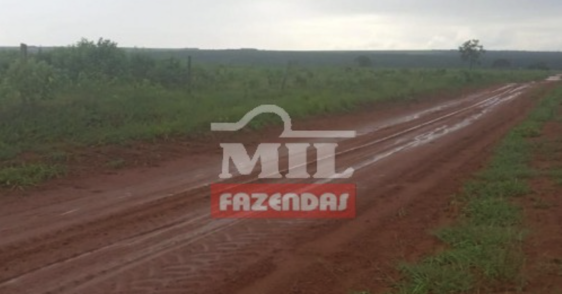 Fazenda em Primavera do Leste - Mato Grosso – Mil Fazendas