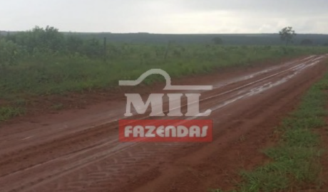 Fazenda em Primavera do Leste - Mato Grosso – Mil Fazendas