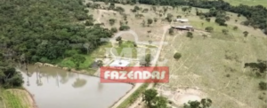 Fazenda em Rianápolis - Goiás – Mil Fazendas