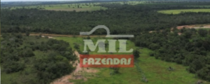 Fazenda em Ribeirão Cascalheira - Mato Grosso – Mil Fazendas