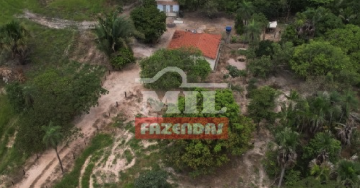 Fazenda em Ribeirão Cascalheira - Mato Grosso – Mil Fazendas