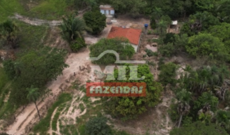 Fazenda em Ribeirão Cascalheira - Mato Grosso – Mil Fazendas