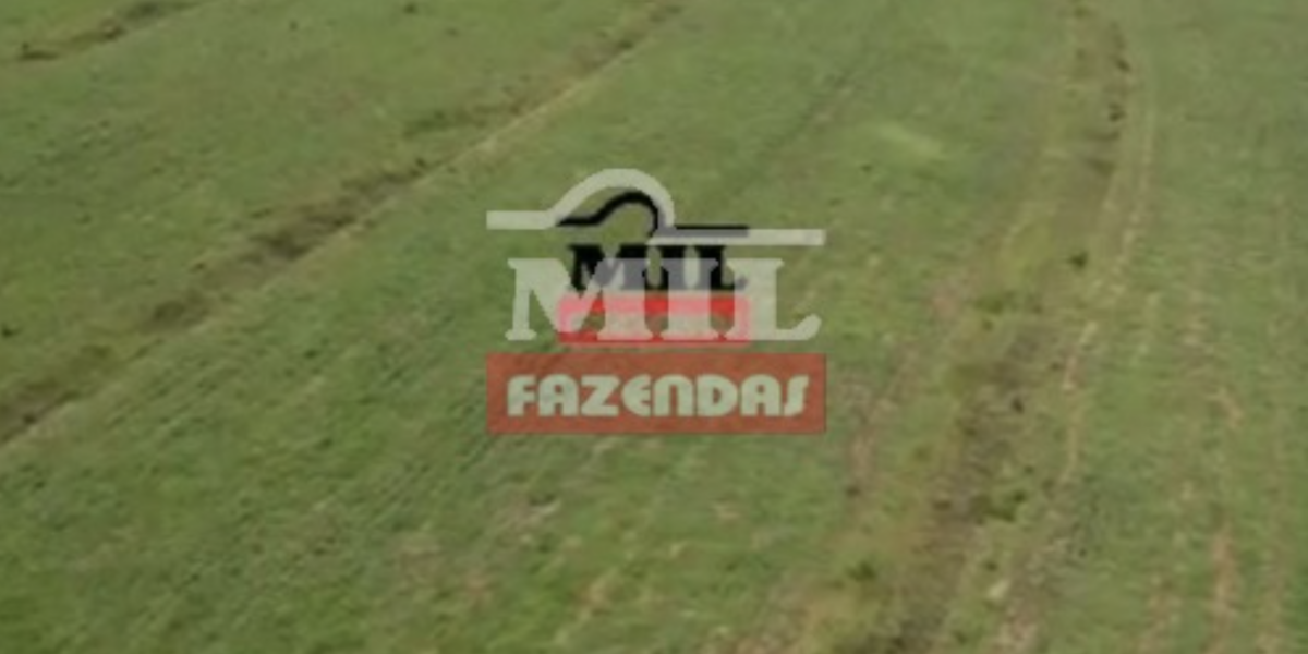 Fazenda em Rondonópolis - Mato Grosso. – Mil Fazendas