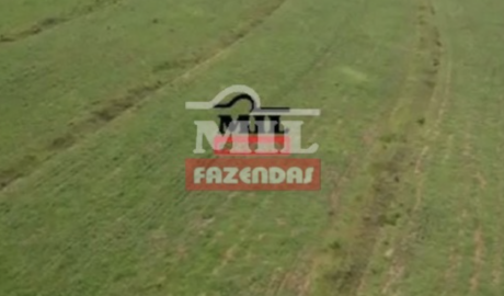 Fazenda em Rondonópolis - Mato Grosso. – Mil Fazendas