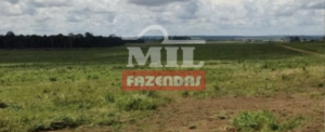  Fazenda em Santarém - Pará – Mil Fazendas