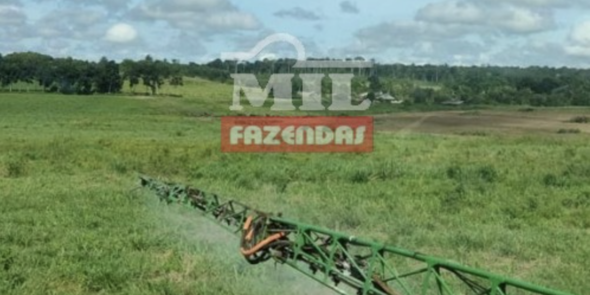 Fazenda em Santarém - Pará – Mil Fazendas