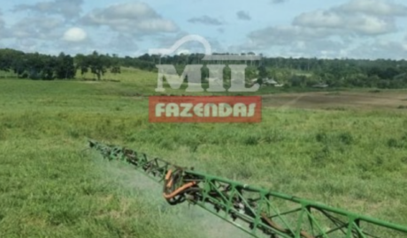 Fazenda em Santarém - Pará – Mil Fazendas