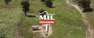 Fazenda em São Salvador do Tocantins - Tocantins – Mil Fazendas