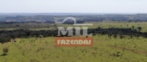 Fazenda em Torixoréu - Mato Grosso – Mil Fazendas