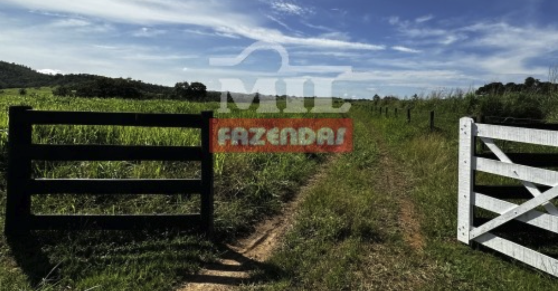 Fazenda em Uruaçu - Goiás – Mil Fazendas