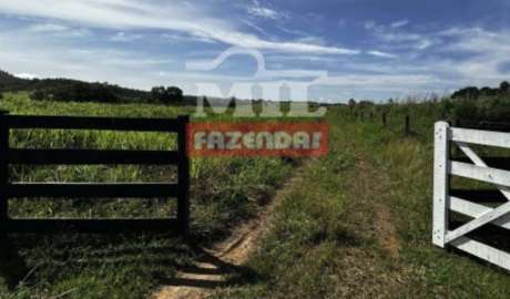 Fazenda em Uruaçu - Goiás – Mil Fazendas