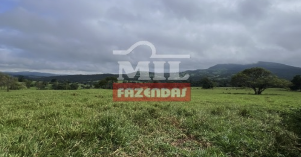 Fazenda em Uruana - Goiás – Mil Fazendas