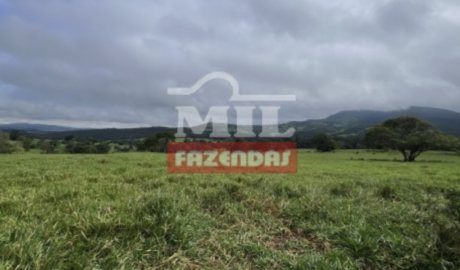 Fazenda em Uruana - Goiás – Mil Fazendas