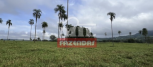 Fazenda em Uruana - Goiás – Mil Fazendas